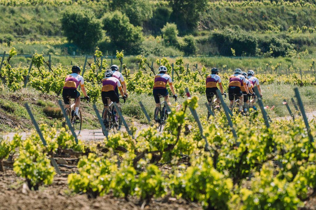 Gravel bike Tours in la rioja alavesa. Gravel bikes, cycling groups.